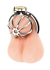 Blue Line Little Cock Chastity Cage - Stainless - Steel