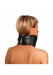 Bondage Collar Master Series Hard Stance Padded Lock Posture Collar