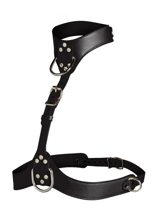 Master Series Vixen Female Chest Vegan Leather Harness - Black