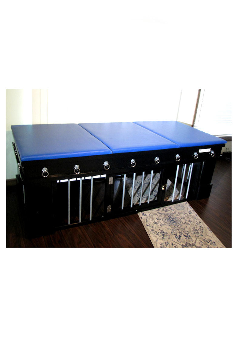 Dungeon Table Bondage Table With Bars