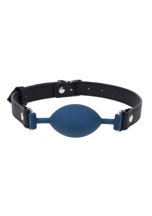 blue oval silicone gag