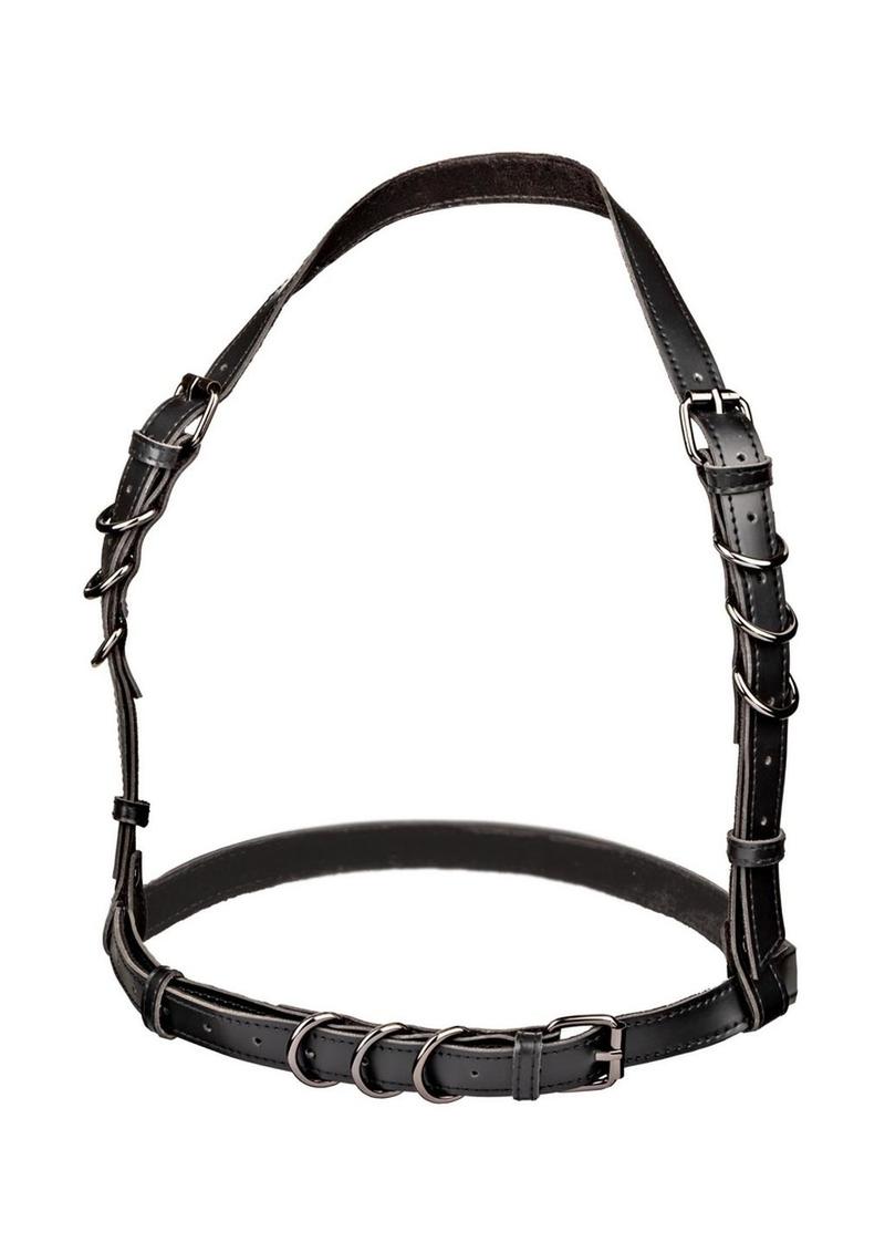 Euphoria Collection Halter Buckle Harness - Black - One Size
