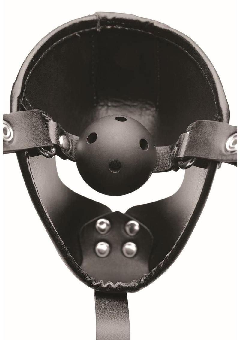 Adult sex toy puppy play hood with ball gag restraint