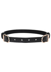 Sex and Mischief Double Buckle Day Collar