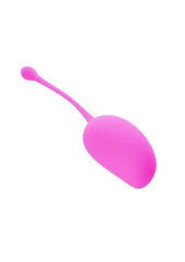 Sincerely Silicone Kegel Exercise System Kit