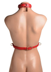 Strict Female Chest Harness