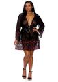 Barely Bare Lace Trim Sheer Robe