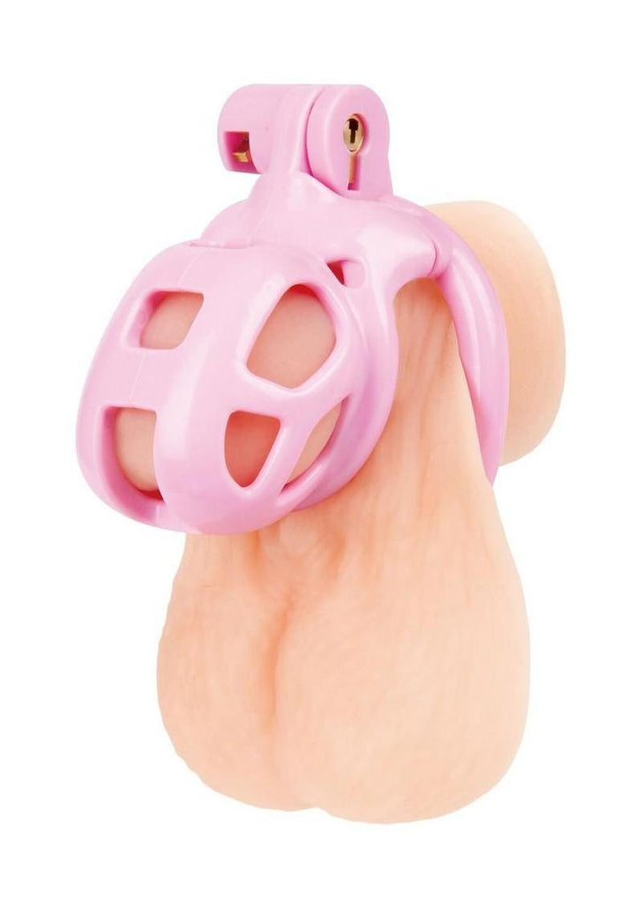 Pink Acrylic Humiliation Cock Cage Chastity | Primal Pleasure Pink Acrylic Humiliation Cock Cage Chastity | Primal Pleasure