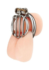Blueline Stainless Steel Inverted Micro Jail Time Chastity Cage - Silver