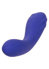 couples remote control pleasure wand