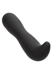 Dr. Joel Kaplan Rechargeable Silicone Prostate Probe Anal Vibrator