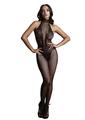 Le Desir Fishnet and Lace Bodystocking