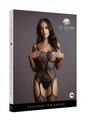 Le Desir Fishnet and Lace Bodystocking