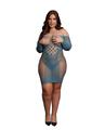 Le Desir Long Sleeved Net Mini Dress