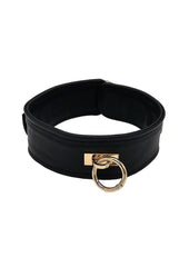 leather collar gold ring detail