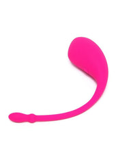 Lovense Lush App Compatible Silicone Bullet Vibrator