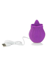rechargeable clitoral vibrator adult toy store
