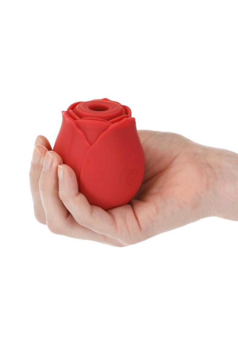 discreet silicone pleasure toy from adult toy store