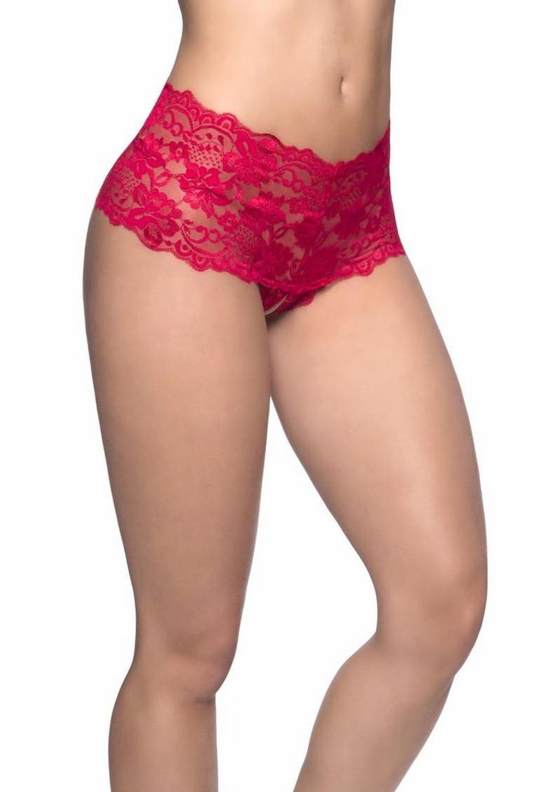 sheer lace boyshort underwear with crisscross back