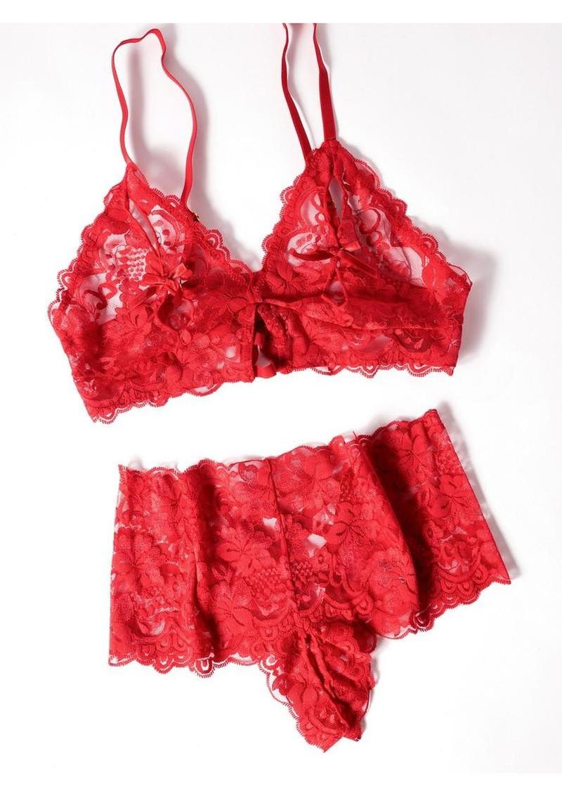 sexy red bralette and panty