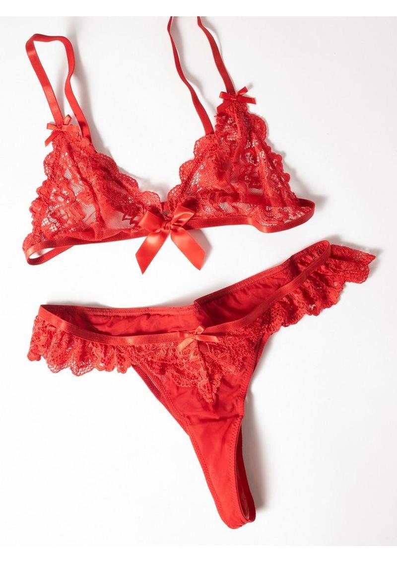 sexy red bra and panty set