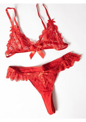 sexy red bra and panty set