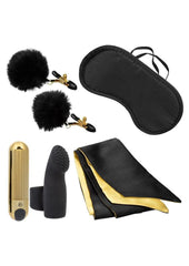 nipple clamps and blindfold kit