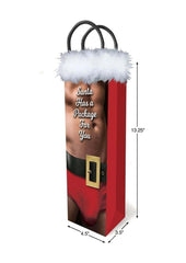 Santa Has A Big Package For You - Gift Bag