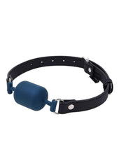 experienced user bondage gag