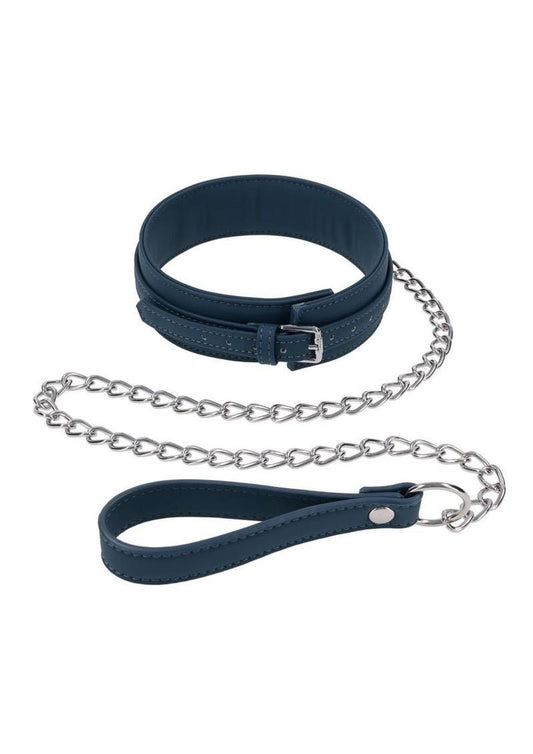 blue silicone collar with chain leash