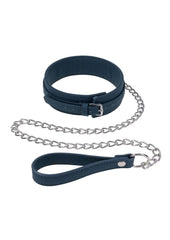 blue silicone collar with chain leash