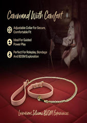 bdsm collar leash restraint accessory
