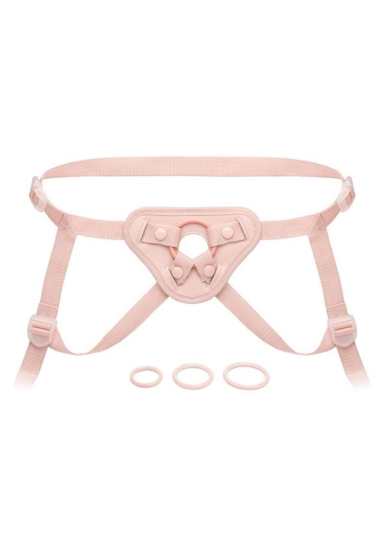 harness buckle close up detail