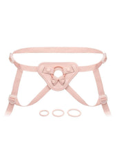 harness buckle close up detail
