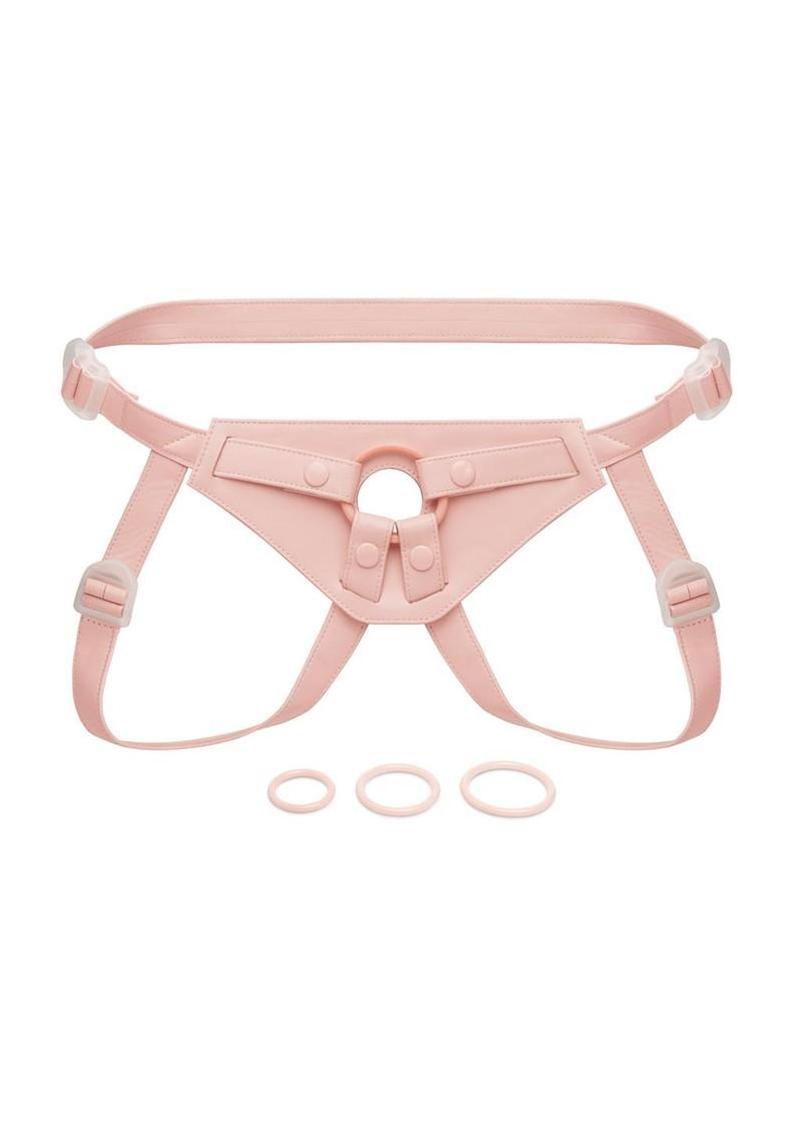harness buckle close up detail