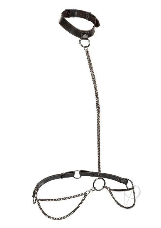 Euphoria Collection Chain Halter/Collar and Leash - Black