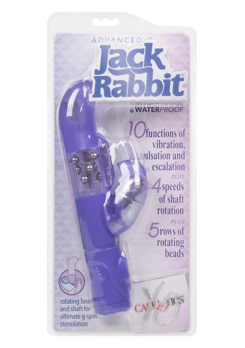 Jack Rabbit Advanced G Jack Rabbit Vibrator Primal Pleasure Jack Rabbit Advanced G Jack Rabbit Vibrator Primal Pleasure
