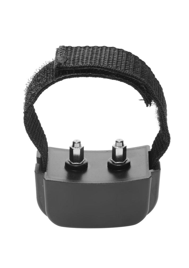 electric shock cock ring for male CBT play