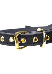 Master Series Golden Kitty Cat Bell Collar