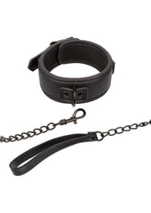 Nocturnal Collection Collar and Leash