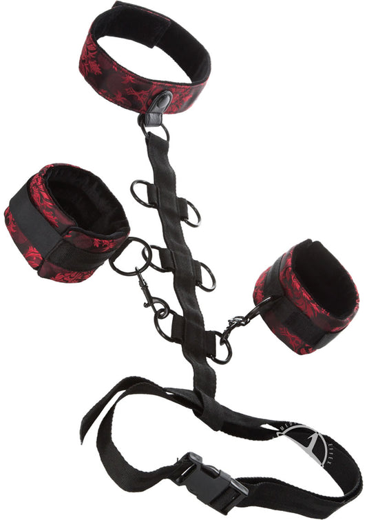 Scandal Collar Body Restraint - Black/Red