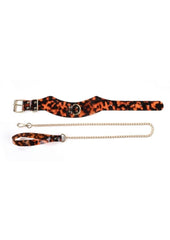 Sincerely Amber Collar and Leash